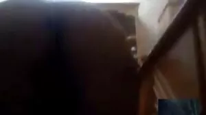 படிச்சிஸ்டர்கள் புஸ்ஸி சாப்பிடுகிறார்கள்