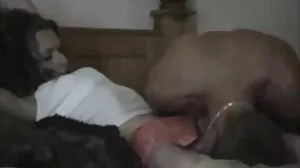 கட்டி ஆசிய குல்ப்ஸ் வாடகைக்கு