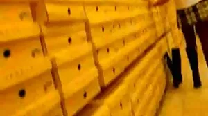 டீன் ஏஜ் மில்ஃப் உடன் ஹாட் செக்ஸ் வேண்டாம் என்று சொல்ல முடியாது