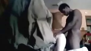 ஸ்பானிஷ் பெரிய கழுதை ஹன்னா மொன்டாடா
